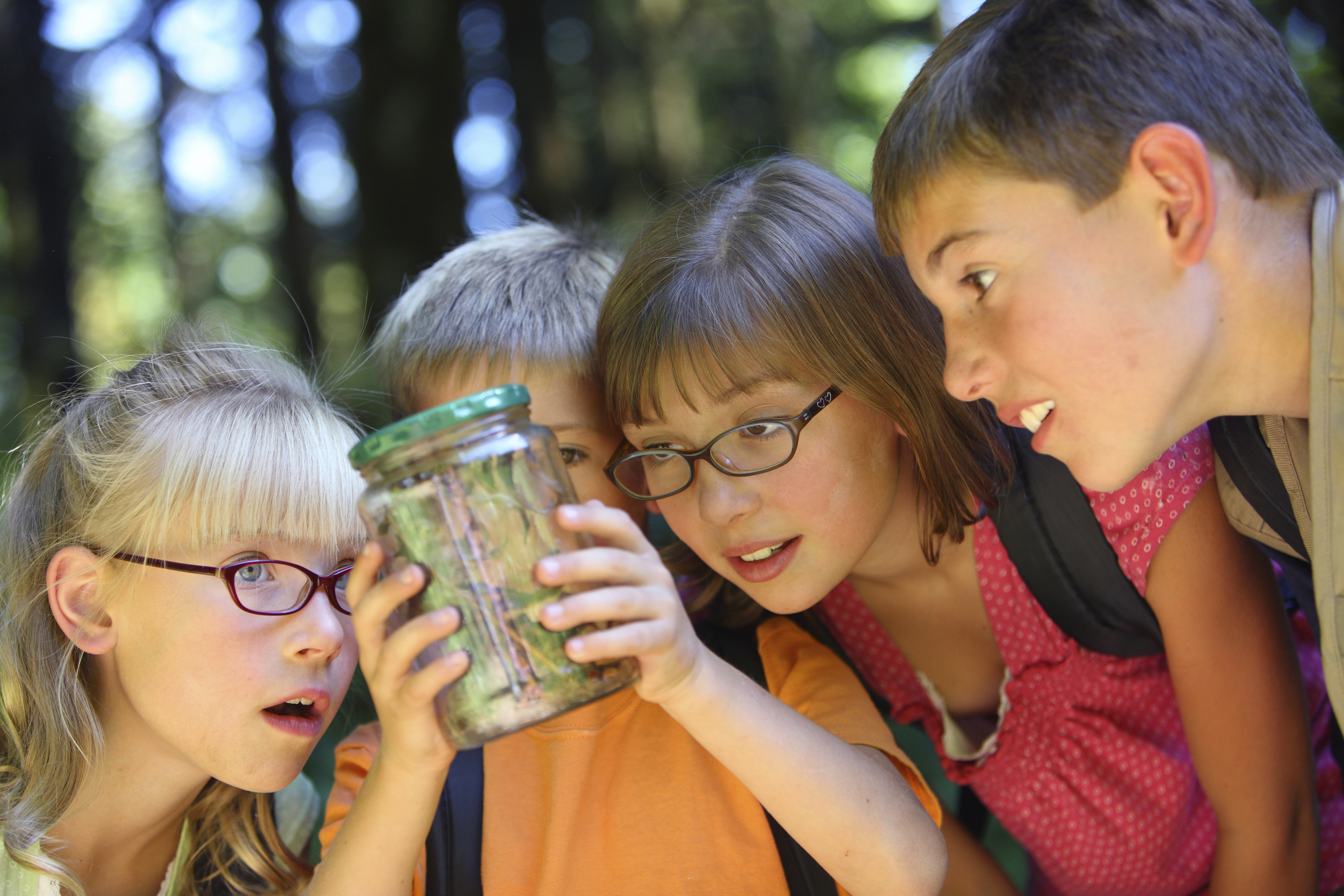 Kids looking at insect in jar